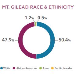 Comprehensive Plan – TOWN OF MOUNT GILEAD