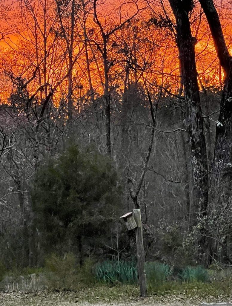 Hiking & Camping TOWN OF MOUNT GILEAD